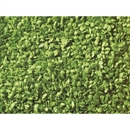 07152 Присыпка (листва светло-зеленая) 100г