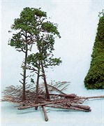 1534 Сосны деревья (10 каркасов ~100—160 мм и хвоя)