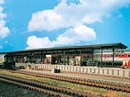 43559 Платформа BADEN-BADEN