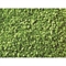 07152 Присыпка (листва светло-зеленая) 100г - фото 10969